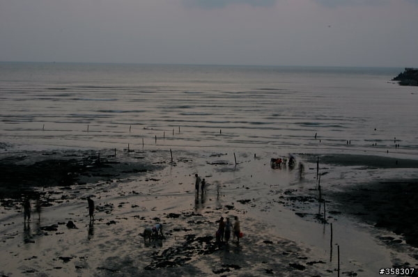 龍井：海濱遊憩區