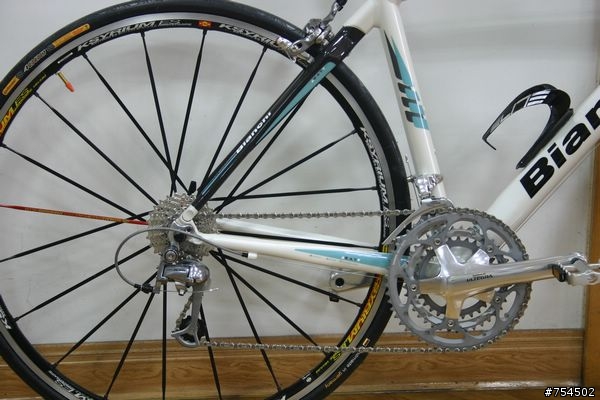 River的白色BIANCHI