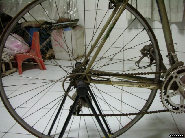我的老鋼管公路車(己重生)置入新圖片