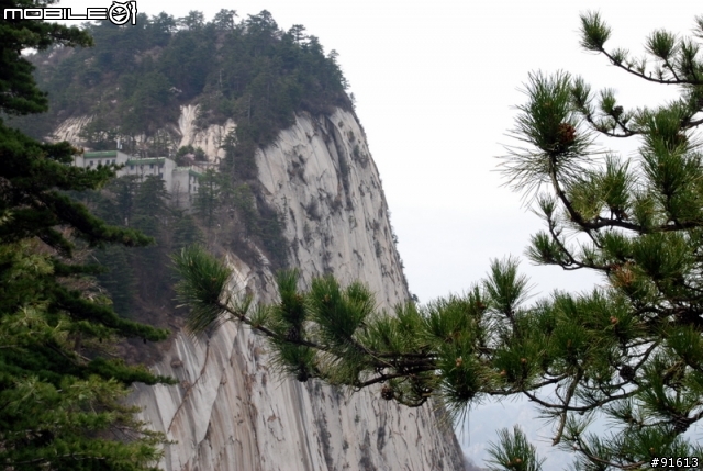 [分享]世界八大遺產之一,兵馬俑,華山,西安自由行 4/13~4/20