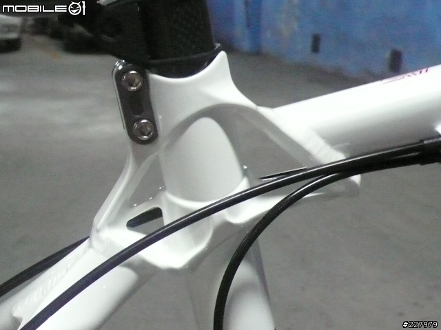 [分享]低調的華麗BMC team elite 02 年度心得報告 AND 08"FOX F100 RLC AND 08"XTR CARBON 後變