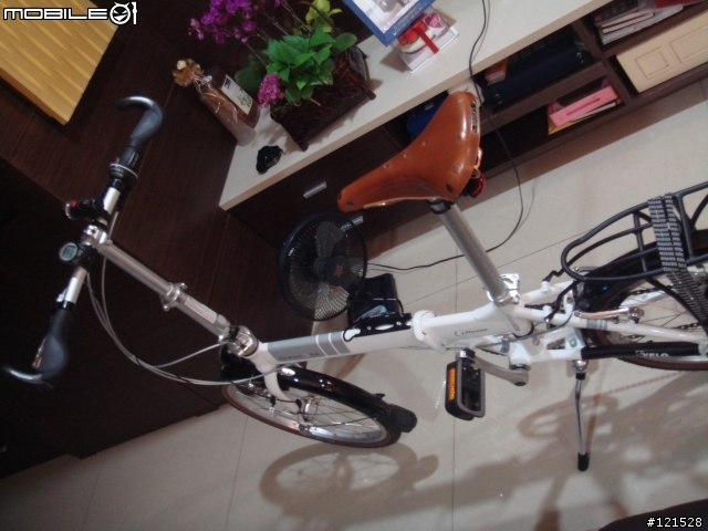 [分享]brooks b17 special 銅弓