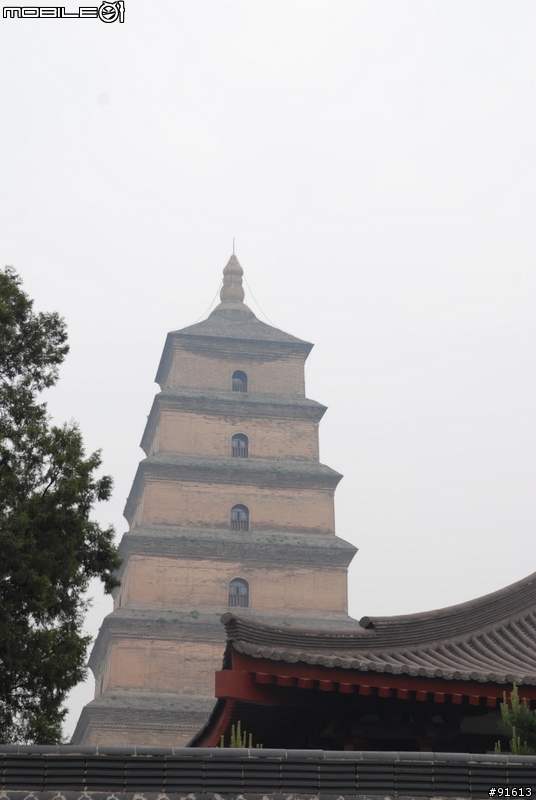 [分享]世界八大遺產之一,兵馬俑,華山,西安自由行 4/13~4/20