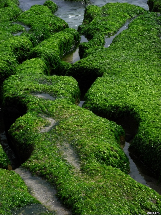 4月27日老梅石槽