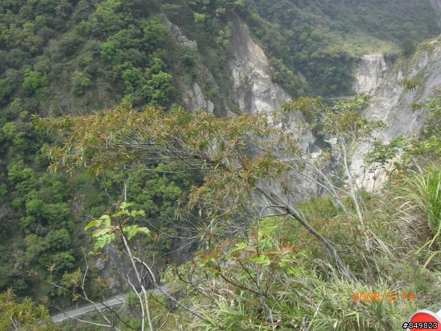 [遊記]03/11~03/15 南橫單車旅行  (新增圖文分享)