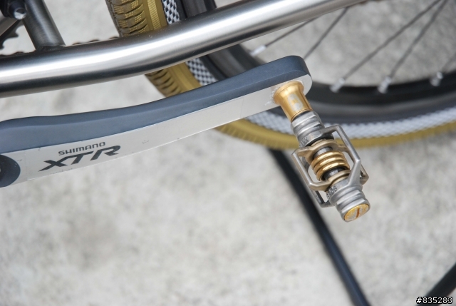 [分享]Litespeed TANASI鈦合金登山車