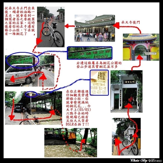 [缺圖修復] 土城桐花公園密秘攝影基地手繪地圖公開