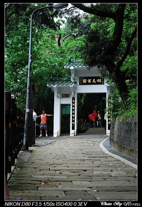 [缺圖修復] 土城桐花公園密秘攝影基地手繪地圖公開
