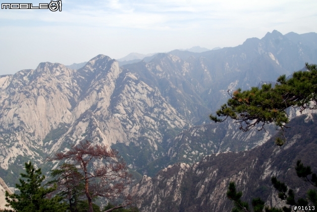 [分享]世界八大遺產之一,兵馬俑,華山,西安自由行 4/13~4/20