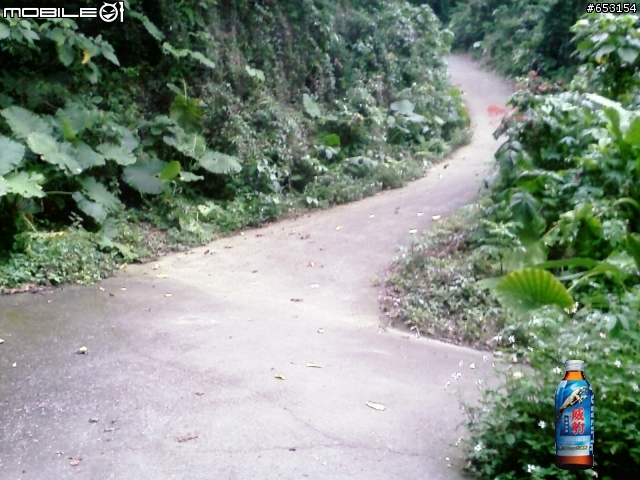 [分享]路線-台中縣省議會後山 好漢坡登山步道