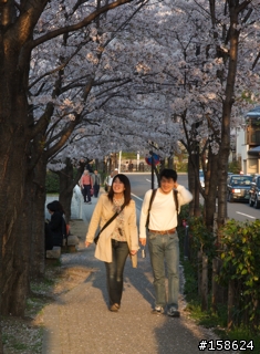 京都奈良之旅
