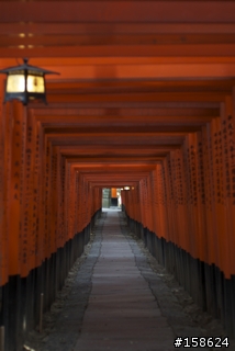 京都奈良之旅