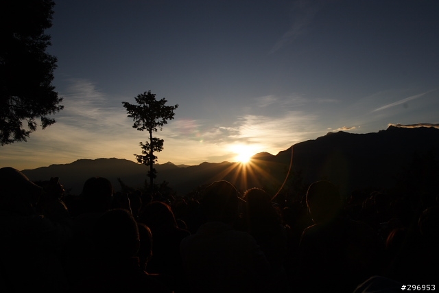 [分享] 還在煩腦該怎麼幫女王選登山車嗎? 看看這台橘銀色Dorcus組裝車吧!