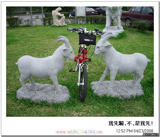 八里左岸淡水行(小紅+攜車袋+台北捷運)