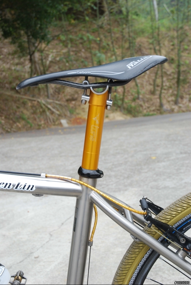 [分享]Litespeed TANASI鈦合金登山車