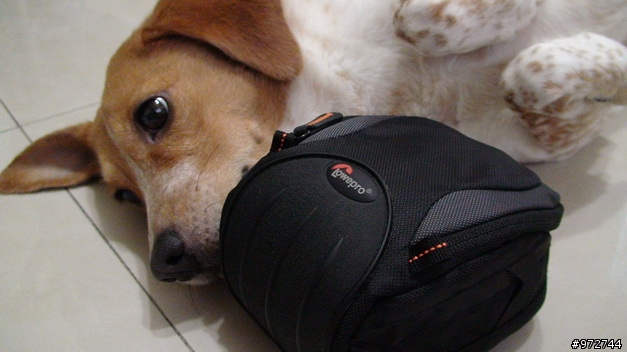 Canon G9與Lowepro Apex 60 Aw相機包
