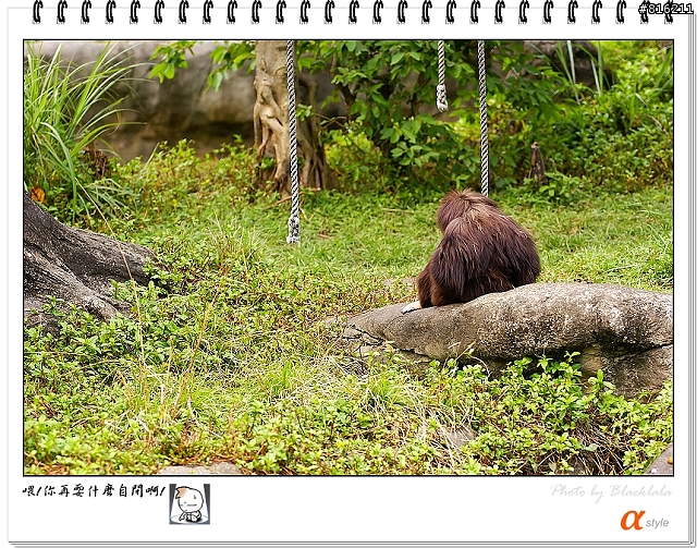 [開箱文]Sony 70-200mm F2.8G SSM (4/13補上 Sony Fair '08 人像照)