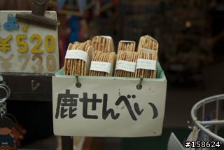 京都奈良之旅