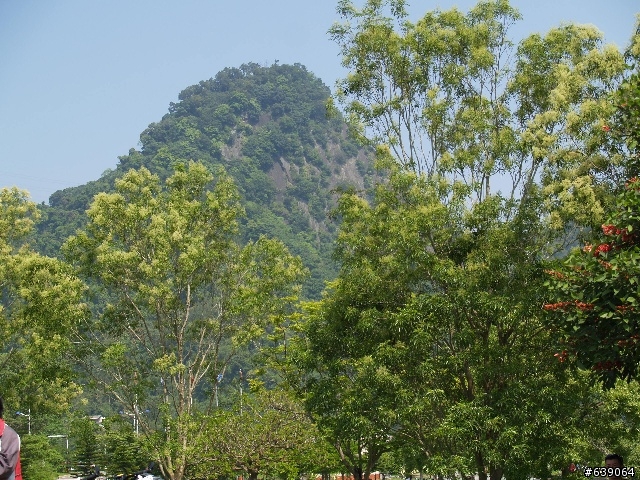 2008苗栗縣 客家桐花季 - 挑戰72號快速道路