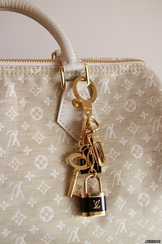[分享] Louis Vuitton Speed30 棉麻帆布包