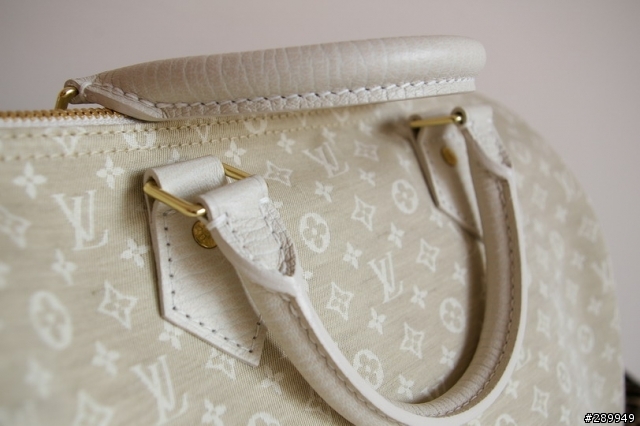 [分享] Louis Vuitton Speed30 棉麻帆布包