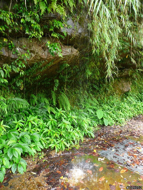 苗栗南庄向天湖仙山單日百里行