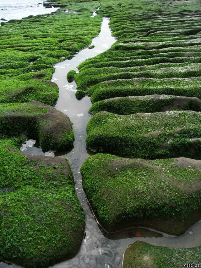 4月27日老梅石槽
