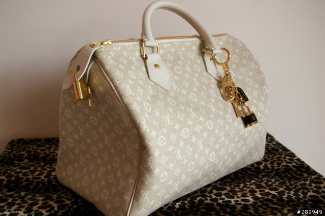 [分享] Louis Vuitton Speed30 棉麻帆布包