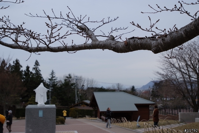 S5PRO @ Hokkaido~~