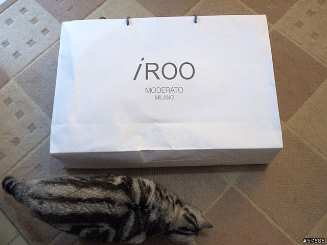 [敗氏手札] iROO 手提包品牌 Body Deco 紫銀雙包