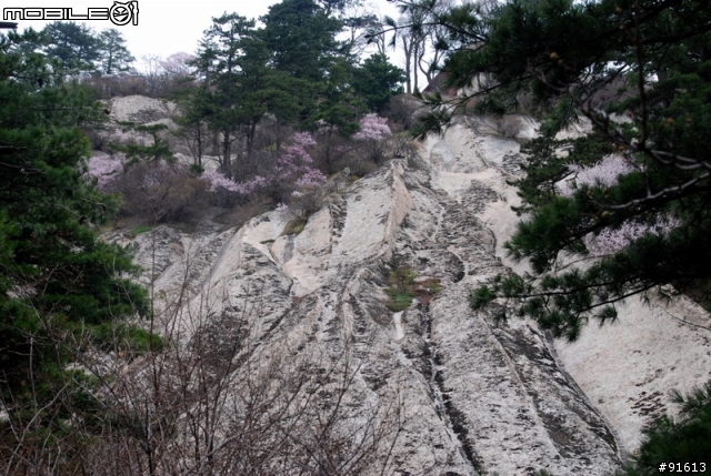 [分享]世界八大遺產之一,兵馬俑,華山,西安自由行 4/13~4/20