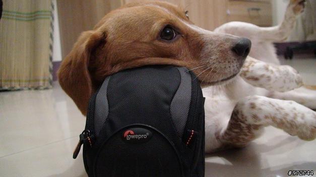 Canon G9與Lowepro Apex 60 Aw相機包