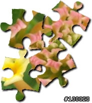 [分享]用PhotoImpact來做拼圖效果