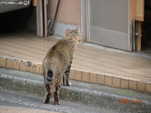 [開箱] Nikon Coolpix P80 及分享照