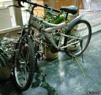 我的車也被偷了！有拜有保佑.
