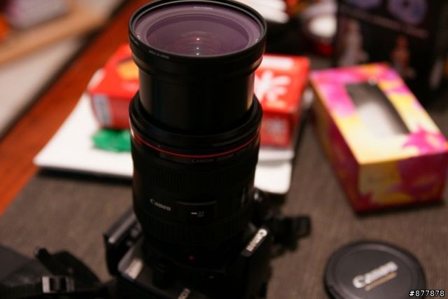 [無聊沒事分享圖 Canon EF 24-70 1:2.8 L USM] 因被批主題不明 所以改主題了 抱歉喔