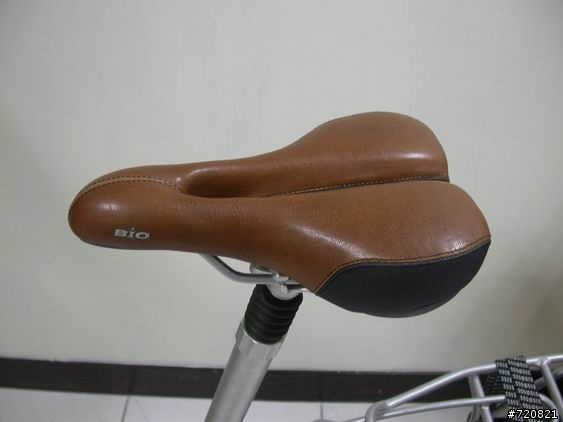 Dahon Ciao P7！全台唯一新入手