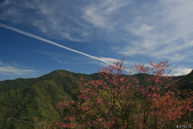 【台灣遊】桃花源記