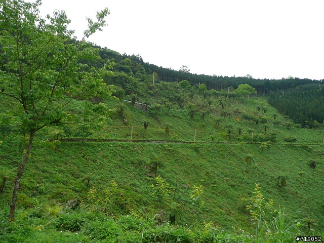 苗栗南庄向天湖仙山單日百里行