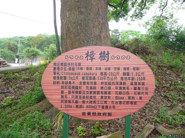 苗栗南庄向天湖仙山單日百里行