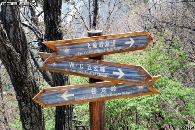 [分享]世界八大遺產之一,兵馬俑,華山,西安自由行 4/13~4/20