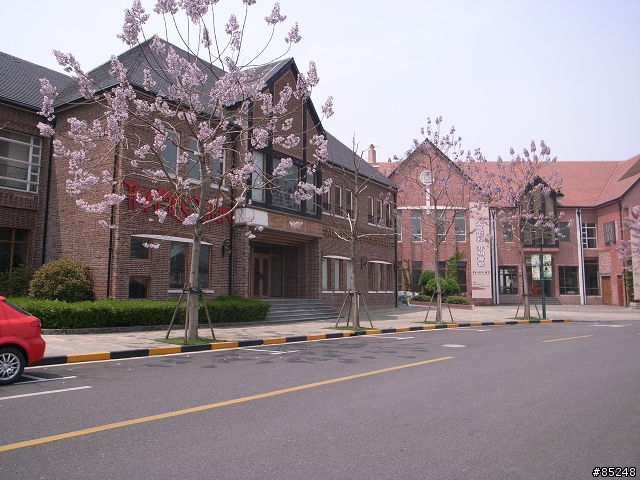 [活動圖片]2008/04/13 畢生難忘的->泰晤士小鎮