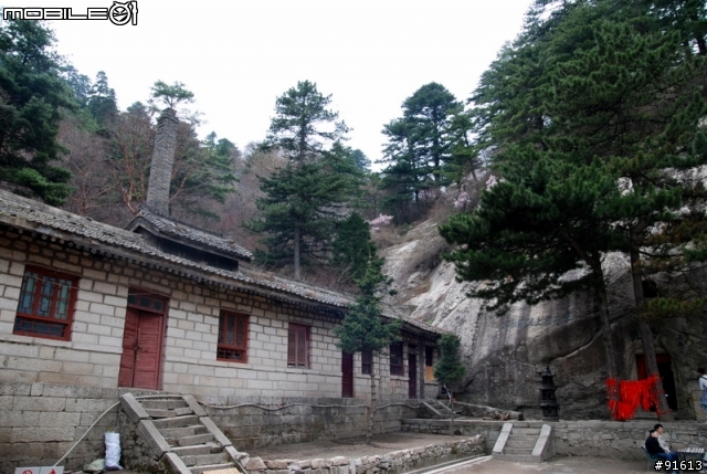 [分享]世界八大遺產之一,兵馬俑,華山,西安自由行 4/13~4/20