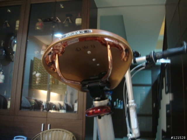 [分享]brooks b17 special 銅弓