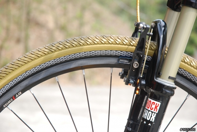 [分享]Litespeed TANASI鈦合金登山車