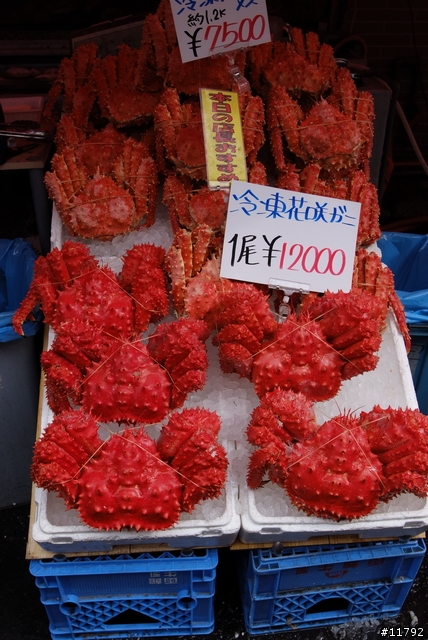 S5PRO @ Hokkaido~~