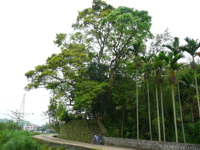 苗栗南庄向天湖仙山單日百里行