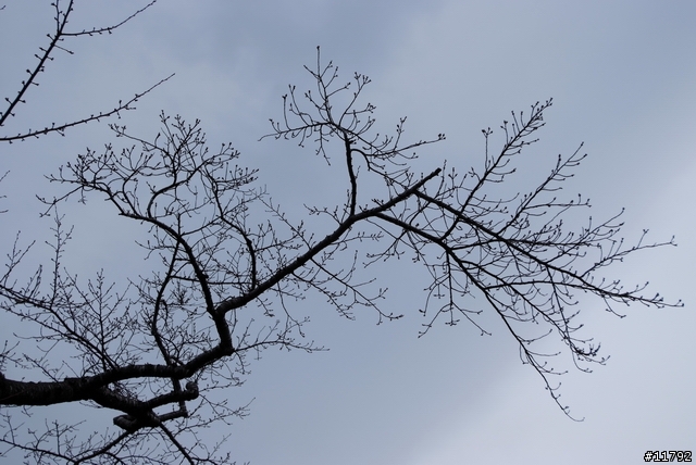 S5PRO @ Hokkaido~~