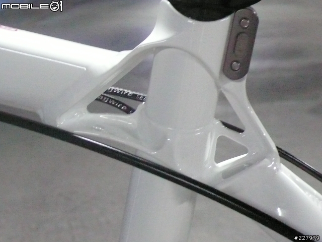 [分享]低調的華麗BMC team elite 02 年度心得報告 AND 08"FOX F100 RLC AND 08"XTR CARBON 後變