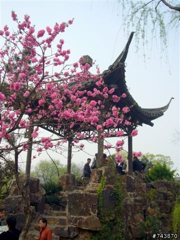 煙花三月下揚州 474Km